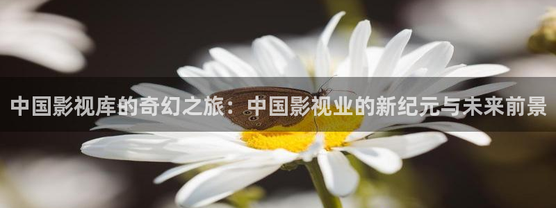飘花影视